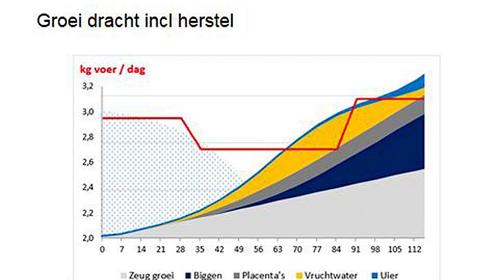 Als gevolg van de exponentiële groei van de biggen aan het einde van de dracht, zijn voerschema’s volgens GIJS in de praktijk vaak ontoereikend voor maximale prestaties.