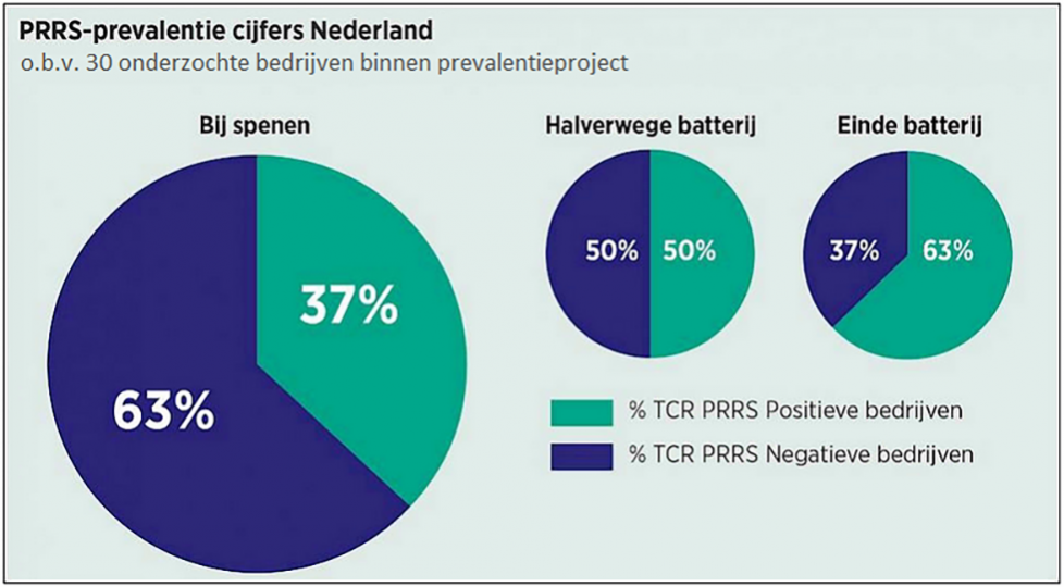PRRS prevalentie Nederland