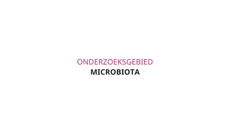 Research 2018: Microbiota Nederlandse versie