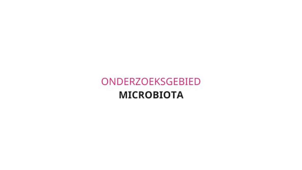 Research 2018: Microbiota Nederlandse versie