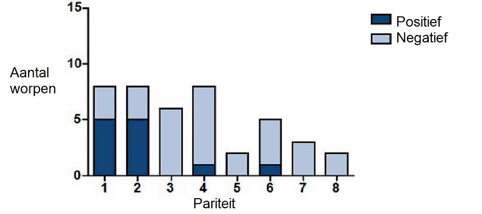 Figuur 1. Aantal worpen positief voor SIV door RT-PCR gerangschikt naar pariteit van de zeug