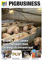 Cover Vakblad Pig Business › Editie 2018-8