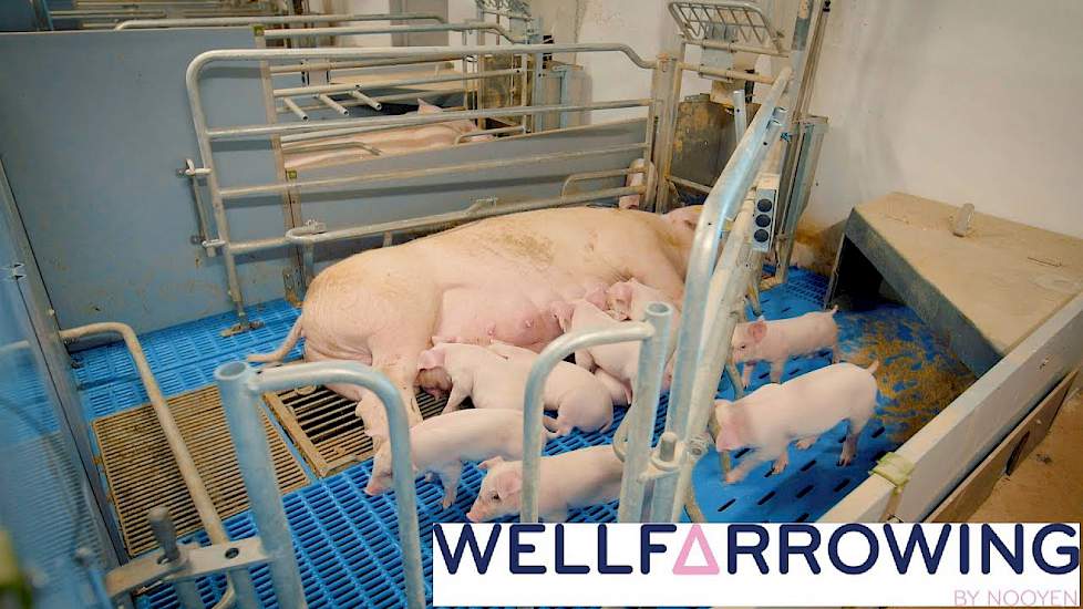 Wellfarrowing by Nooyen