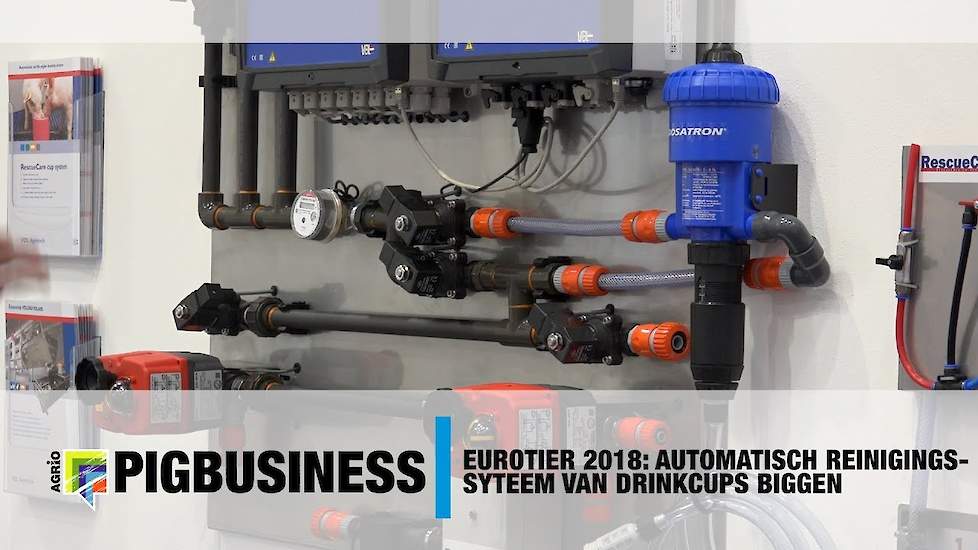 Eurotier 2018: Automatisch reinigingssysteem van drinkcups biggen