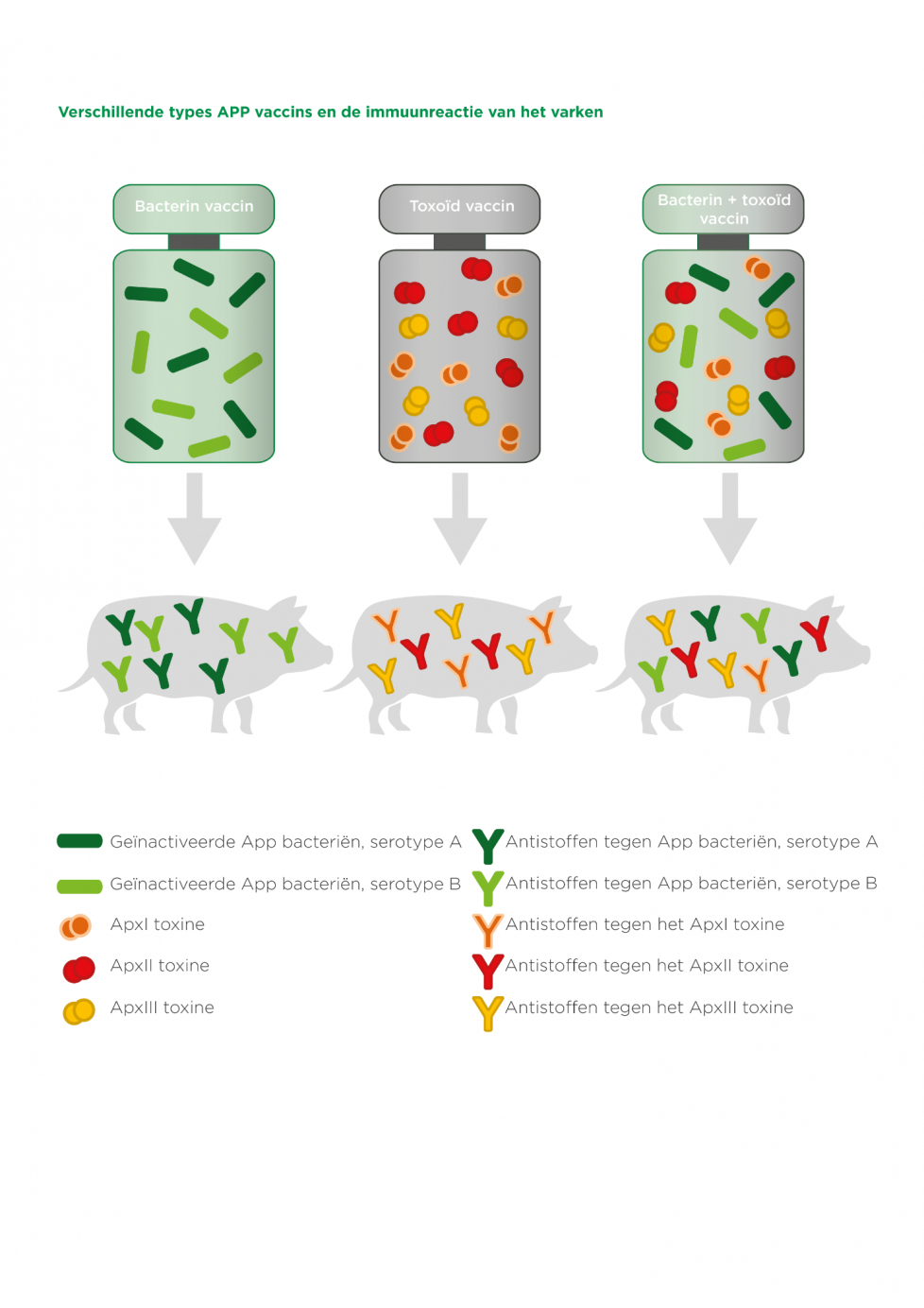 Verschillende types APP vaccins