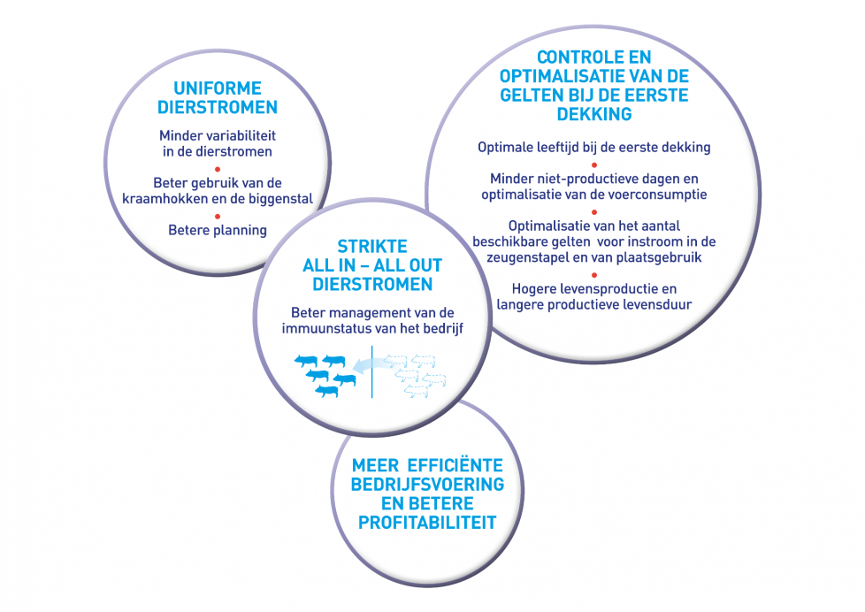 Figuur: Voordelen van synchronisatie van gelten