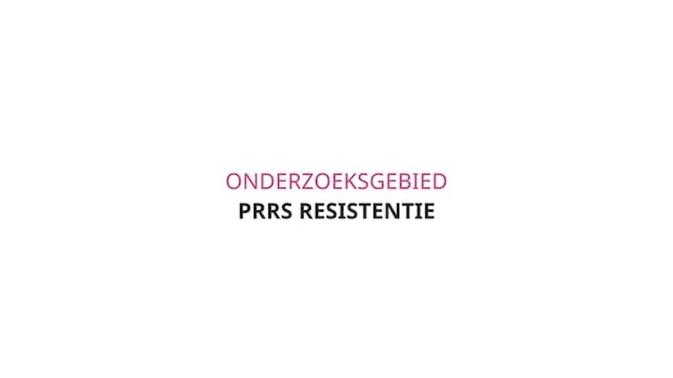 Research 2018: PRRS resistance Dutch subtitles