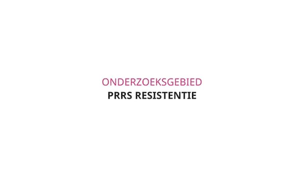 Research 2018: PRRS resistance Dutch subtitles