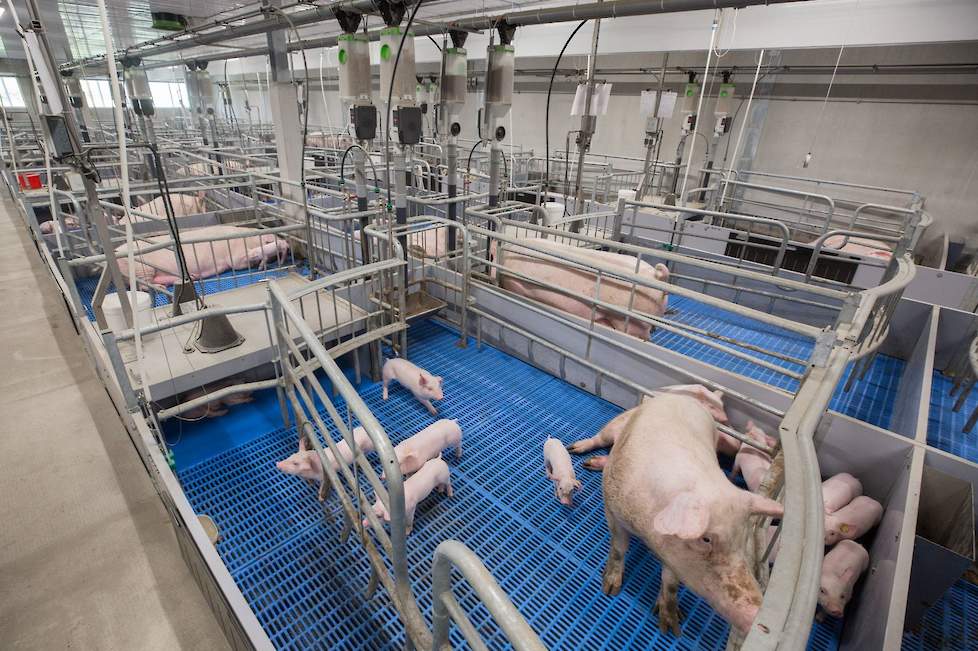 Pork Expo Pig Business Thema-sessie Duurzaamheid