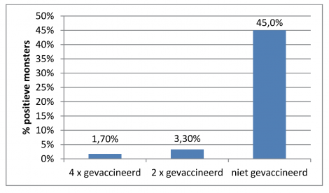Percentage gelten die 14 weken na aankomst M. hyo uitscheiden in een groep niet-gevaccineerde, 2-voudig en 4-voudig gevaccineerde dieren
