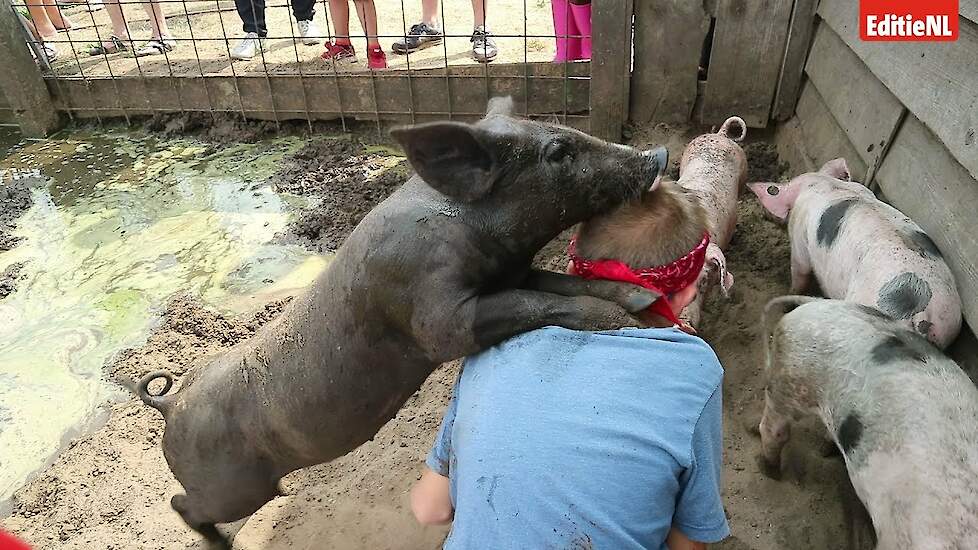 Met biggen knuffelen bij Piggy's Palace = niet altijd een succes - EDITIE NL