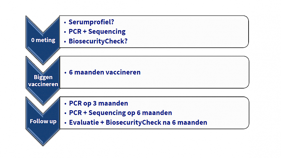 Together against PRRS biggen programma Hipra