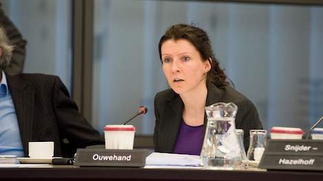 Esther Ouwehand weigerde deze week steun uit te spreken voor de varkenshouder in Boxtel en stelde zelfs dat hij vervolgd zou moeten worden door Justitie vanwege het 'overtreden van de wet'.