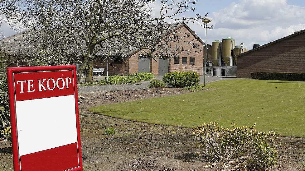 Archiefbeeld van varkensbedrijf dat te koop staat.