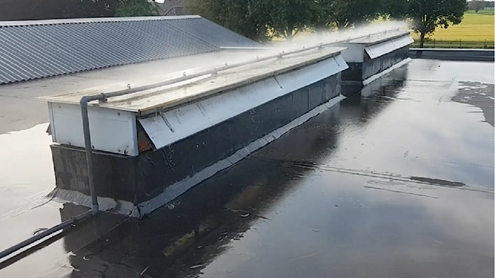 Johan Bakermans lat zien hoe zijn nevelkoeling functioneert op het dak van zijn varkensstal,