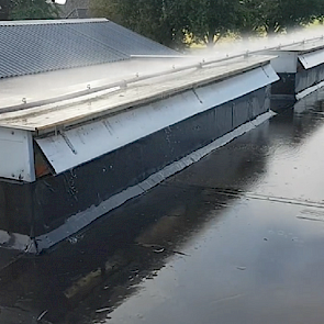 Johan Bakermans lat zien hoe zijn nevelkoeling functioneert op het dak van zijn varkensstal,