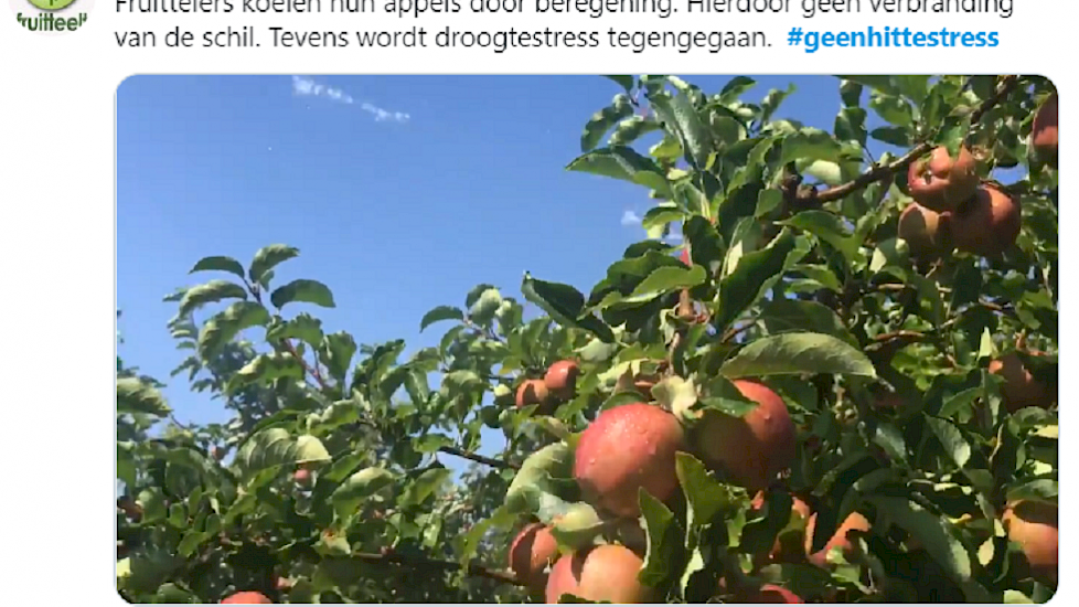 Alliance Fruit laat op Twitter zien wat fruittelers doen tegen de hitte: "Fruittelers koelen hun appels door beregening. Hierdoor is er geen verbranding van de schil. Tevens wordt droogtestress tegengegaan. #geenhittestress."