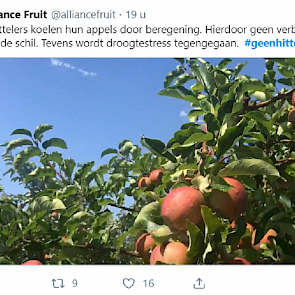 Alliance Fruit laat op Twitter zien wat fruittelers doen tegen de hitte: "Fruittelers koelen hun appels door beregening. Hierdoor is er geen verbranding van de schil. Tevens wordt droogtestress tegengegaan. #geenhittestress."
