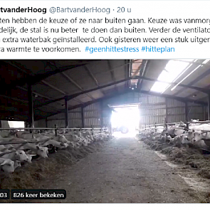Biologisch geitenhouder Bart van der Hoog, legt burgers op Twitter ook uit, waarom dieren tijdens de hitte vaak liever binnen blijven: "Geiten hebben de keuze of ze naar buiten gaan. Keuze was vanmorgen duidelijk, de stal is nu beter te doen dan buiten. V