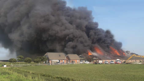 1485 varkens omgekomen bij brand in varkensstal Streefkerk - Pig Business