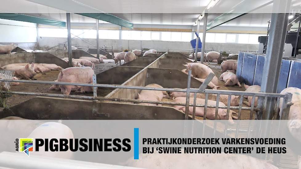 Praktijkonderzoek varkensvoeding bij het ‘Swine Nutrition Center’ van De Heus