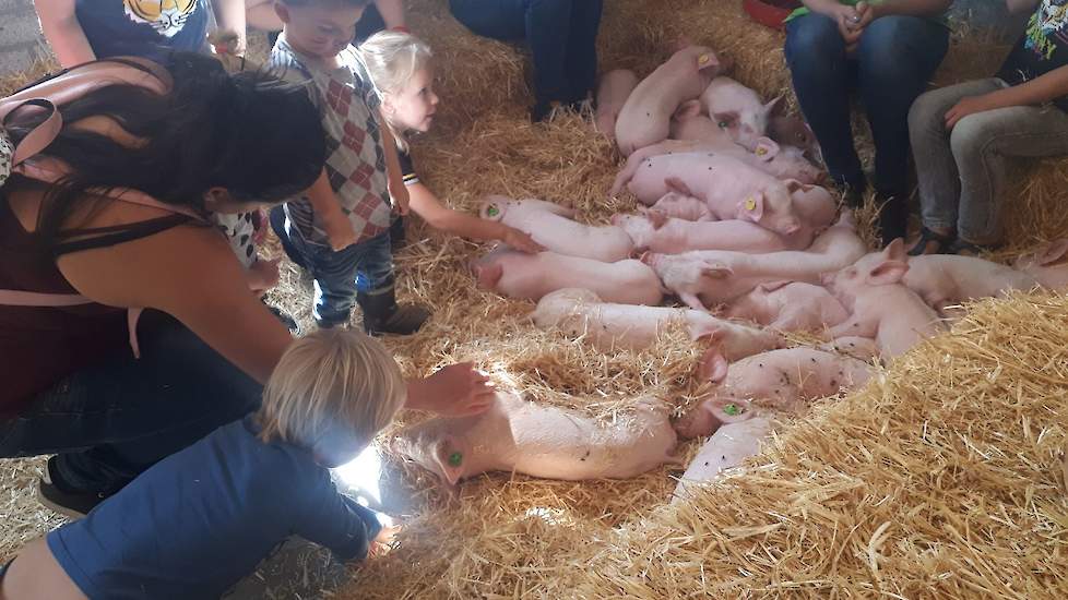 Tijdens het Weekend van het Varken konden kinderen onder meer biggen knuffelen.