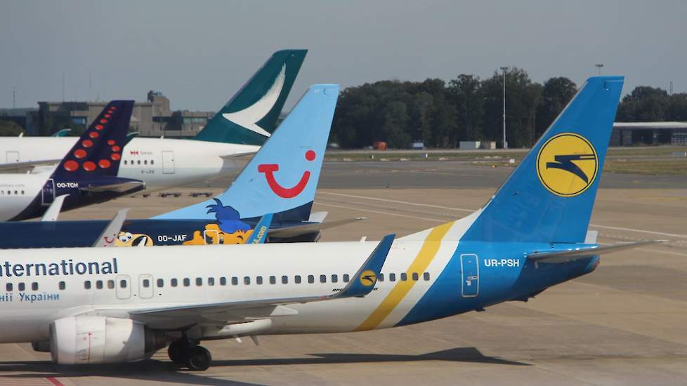 Mogelijk is het AVP virus via luchthaven Zaventem België binnengekomen