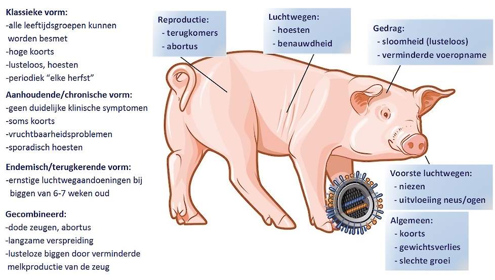 Een overzicht van de verschillende griep vormen en klinische verschijnselen