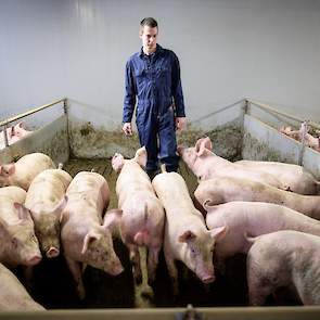 Voordat hij ruim drie jaar geleden in het bedrijf van zijn ouders aan de slag ging werkte hij bij Agrifirm. Tijdens zijn HAS-studie Bedrijfskunde en Agribusiness liep hij stage bij Topigs Norsvin en de Rabobank. Koen: „Zo heb ik veel gezien en visies geho