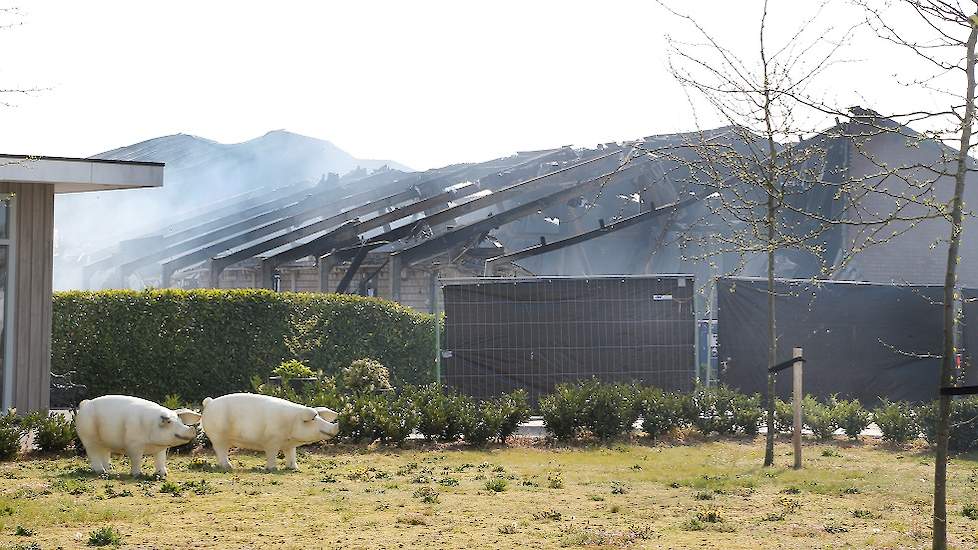 De stal van Gerard Driessen, die afbrandde. Een naastgelegen stal werd van de vlammen gered.