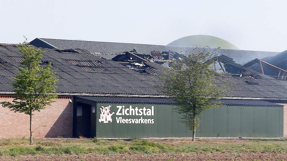 De zichtstal brandde helemaal uit. De varkens die daar in zaten, hebben de brand niet overleefd.