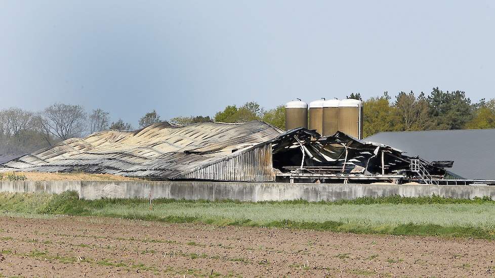 Dankzij de inzet van de brandweer bleef ook de brijvoerinstallatie bewaard en staan de voersilo's nog overeind. 'We konden de varkens die niet zijn getroffen door de brand vrijwel meteen weer voeren. Een geluk bij een ongeluk', zegt Driessen.