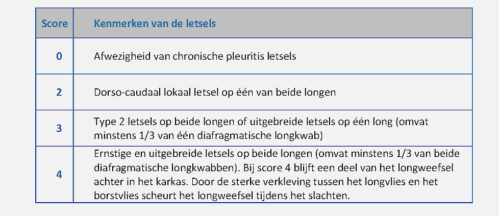 Tabel. 	Scoresysteem dorsocaudale pleuritis