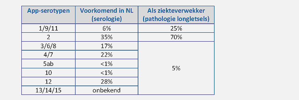 Tabel. 	App serotypes in Nederland
