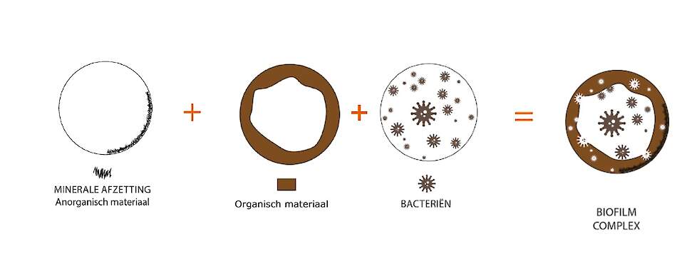 Biofilm-complex