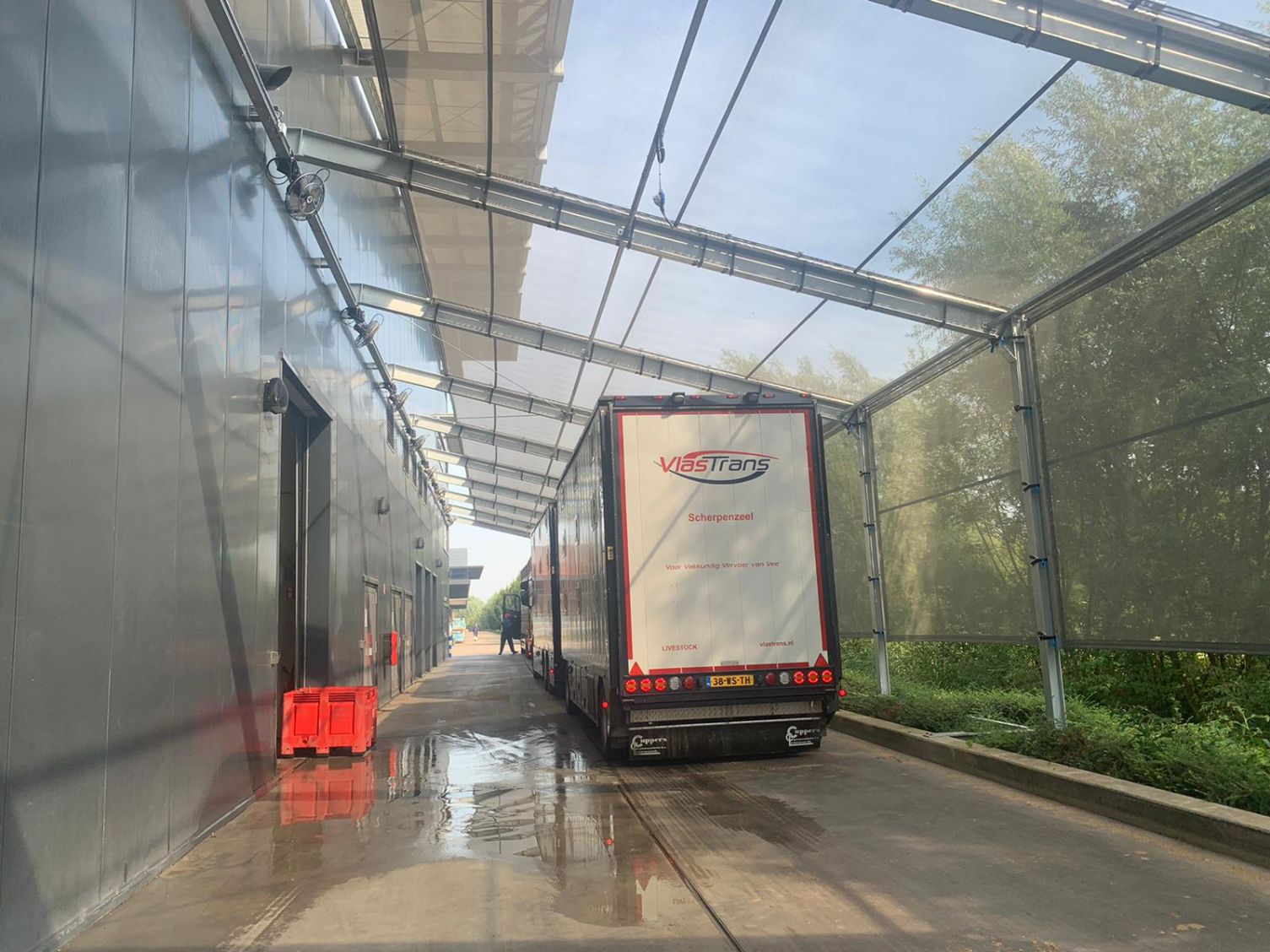 Video: Hoe gaat slachterij Westfort om met de hitte ...