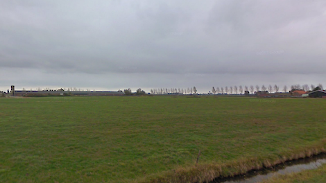 Het varkensbedrijf in Poortvliet