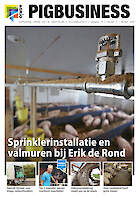 Cover Vakblad Pig Business › Editie 2020-07
