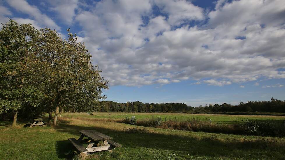 vragenderveen, korenburgerveen, natura 2000