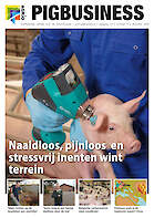Cover Vakblad Pig Business › Editie 2020-09