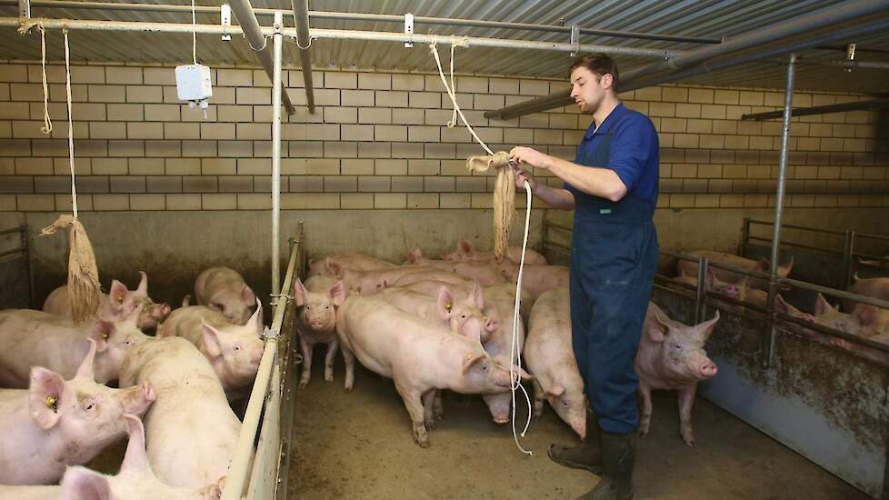 Daarnaast wordt door het gebruik van sensoren (die in de stal hangen) realtime de uitstoot van geur, methaan en ammoniak bijgehouden.