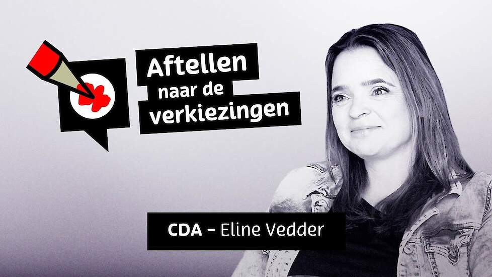 Aftellen naar de verkiezingen - Eline Vedder