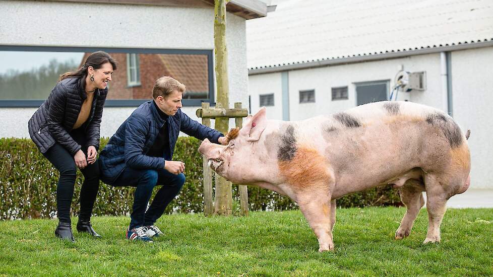 Zefke wordt dag in dag uit verzorgd door Gregory en Angelique Vansteenlandt.