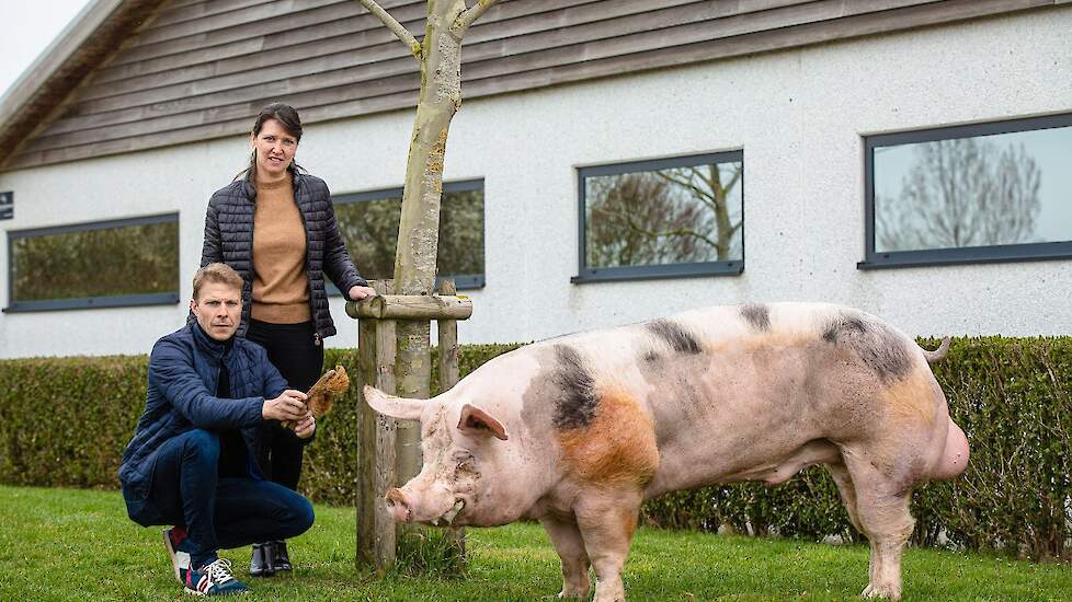 Zefke wordt dag in dag uit verzorgd door Gregory en Angelique Vansteenlandt.