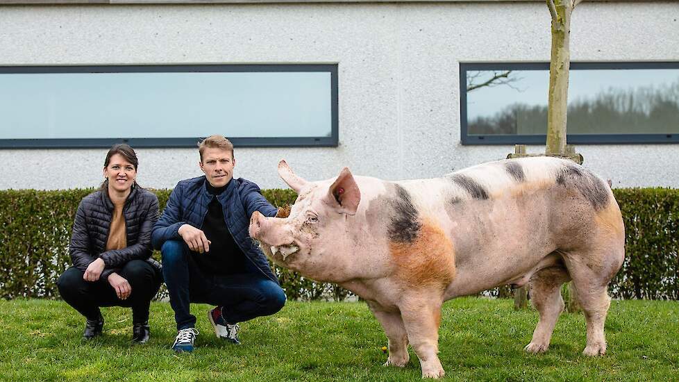 Zefke wordt dag in dag uit verzorgd door Gregory en Angelique Vansteenlandt.