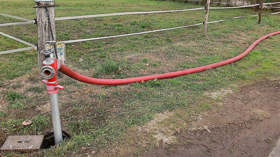 Het door brand getroffen varkensbedrijf in Nederweert
