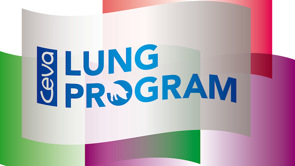 Ceva Lung Program, Longonderzoek bij varkens in het slachthuis