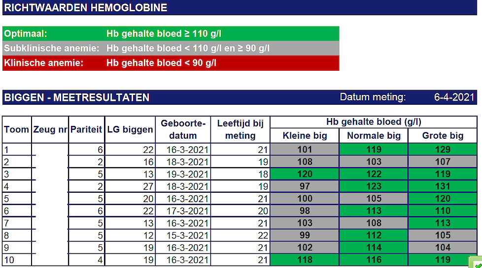 Figuur 2 Hemoglobine meting van 10 tomen 3 biggen per toom na doorvoering aanpassingen.