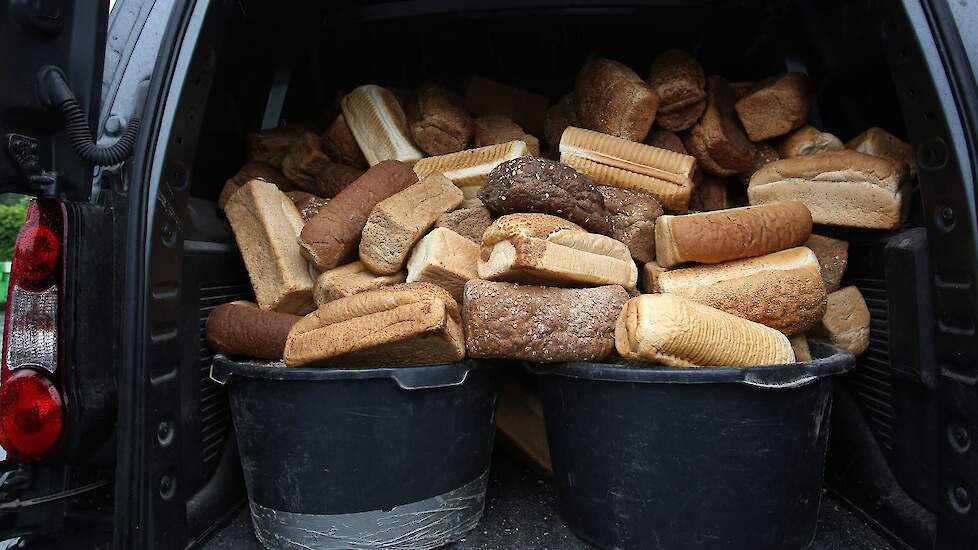 Een keer per dag vindt er een controleronde plaats langs alle percelen waar de varkens lopen. Ze krijgen dan ook gelijk reststromen gevoerd, zoals aardappelen, brood, mais of bieten. Deze producten krijgen ze van lokale restaurants of bakkers. Er is een o