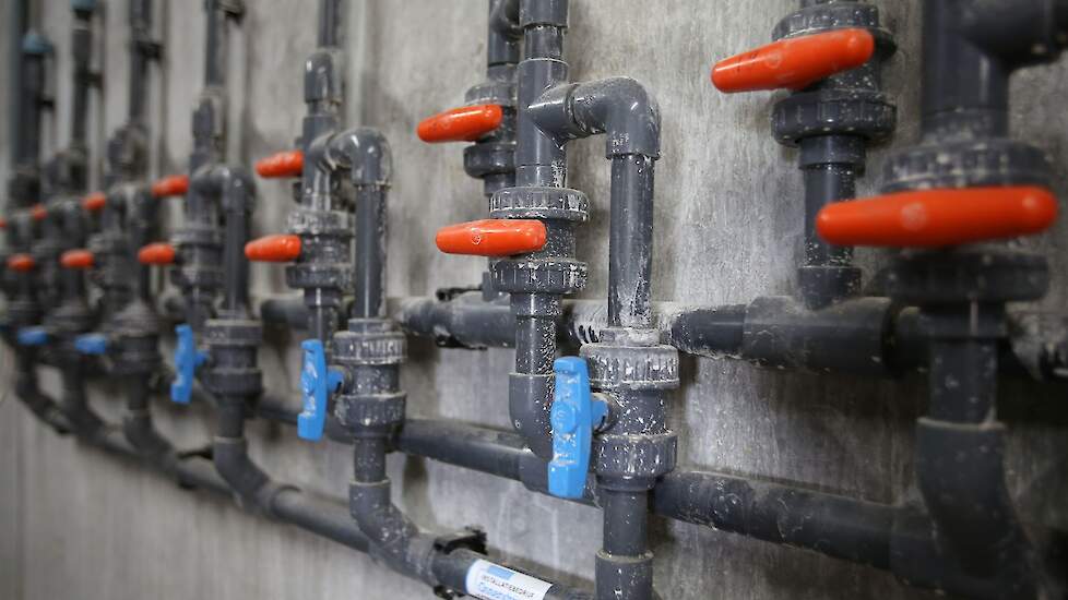 Via het drinkwatersysteem kunnen extra zuren aan het water worden toegevoegd ter ondersteuning van de vertering en uiteindelijk de darmgezondheid.